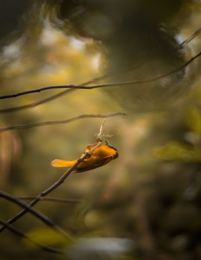 Photograph by Daria Dziedzic