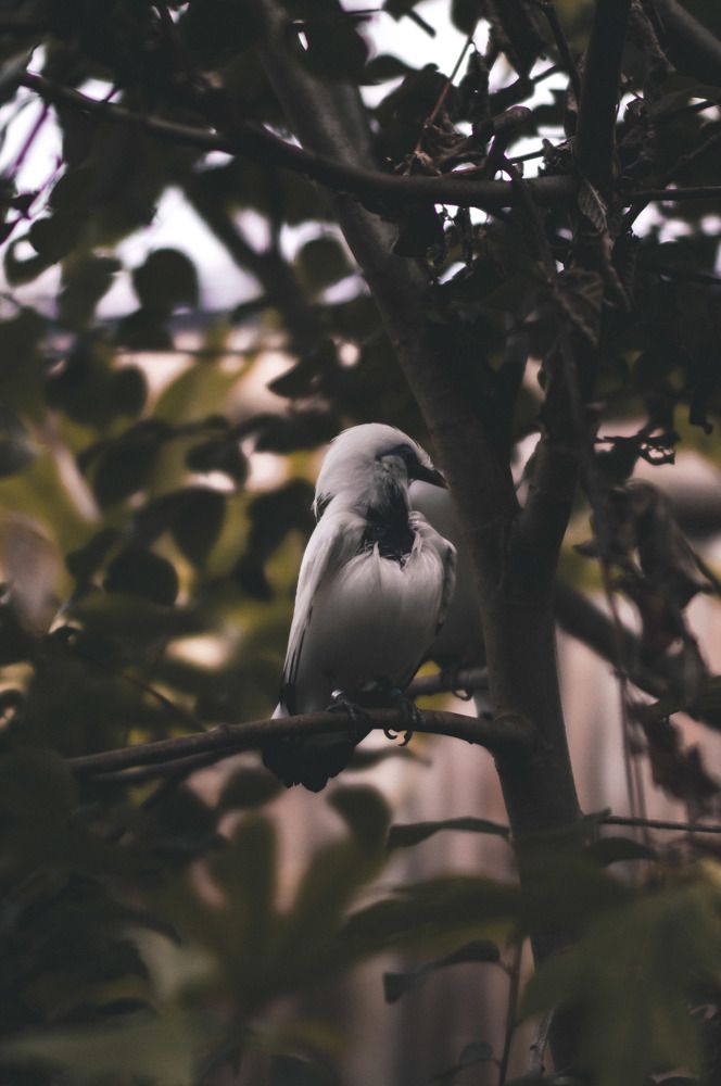 Photograph by Daria Dziedzic