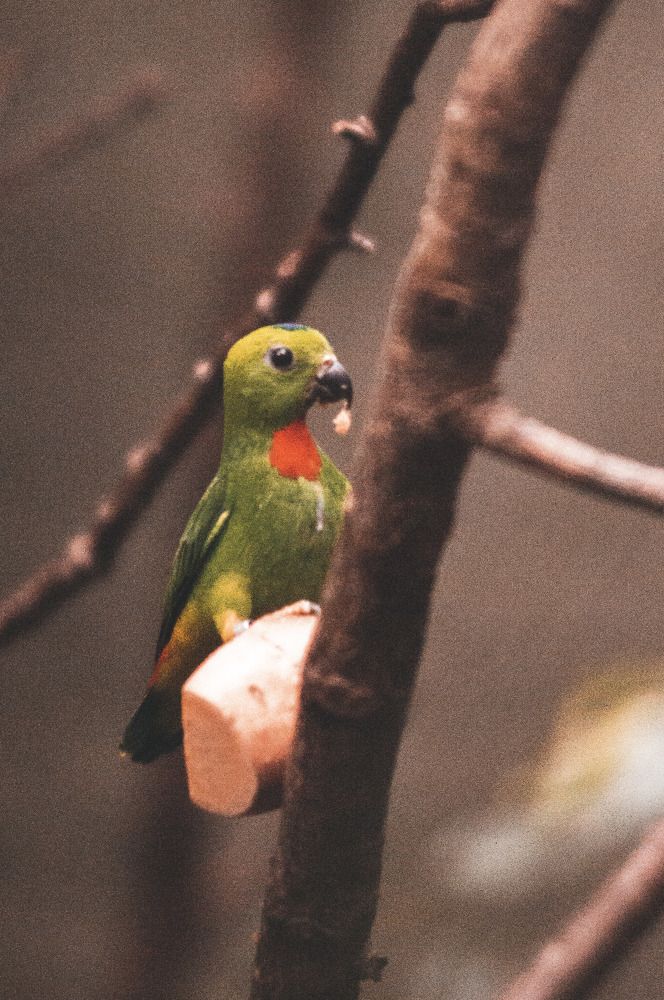 Photograph by Daria Dziedzic