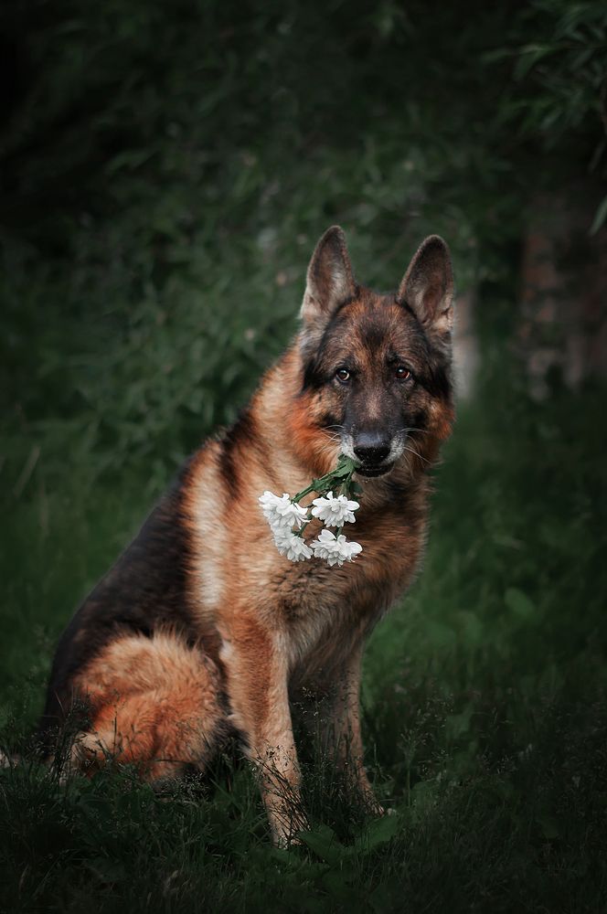 Photograph by Людмила Потапова