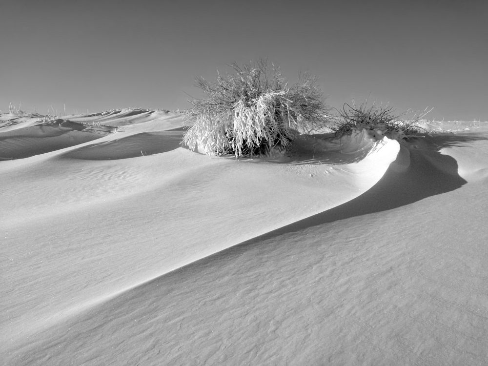 Photograph by Павел Колеснев