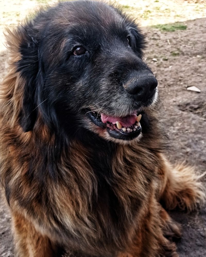 Photograph by Ольга Третьякова