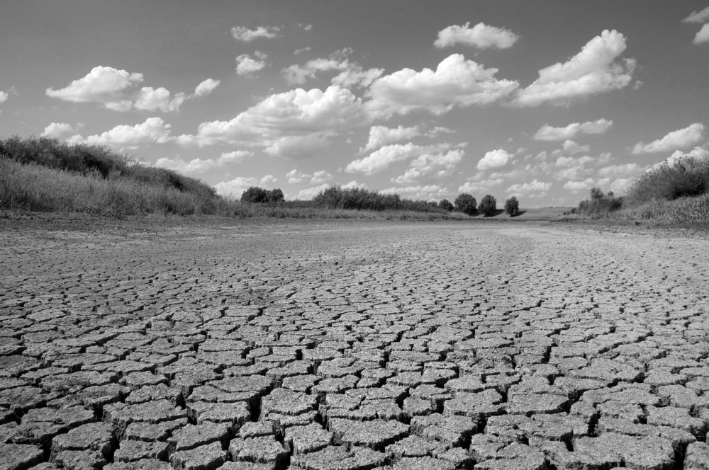 Photograph by Павел Колеснев