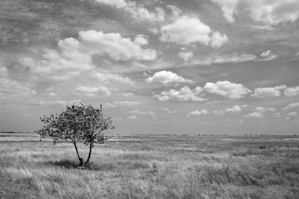 Photograph by Павел Колеснев