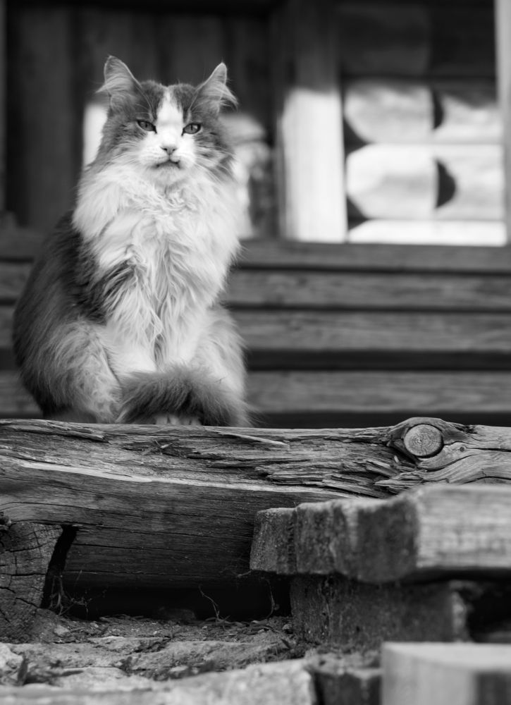 Photograph by Юрий Гау