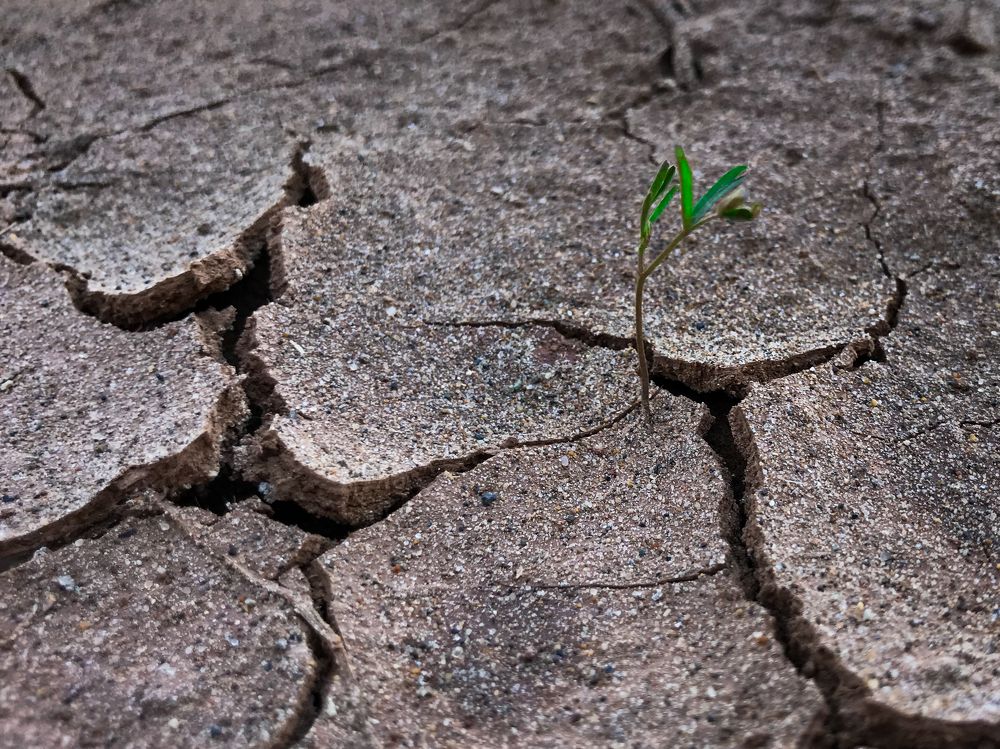 Photograph by Димитрий Осинцев