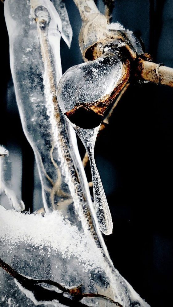 Photograph by Татьяна Ковалева