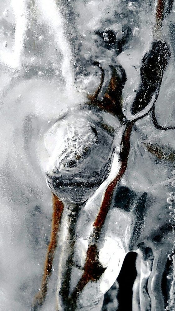 Photograph by Татьяна Ковалева