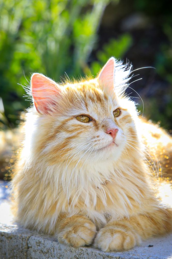 Photograph by Ирина Подгорная