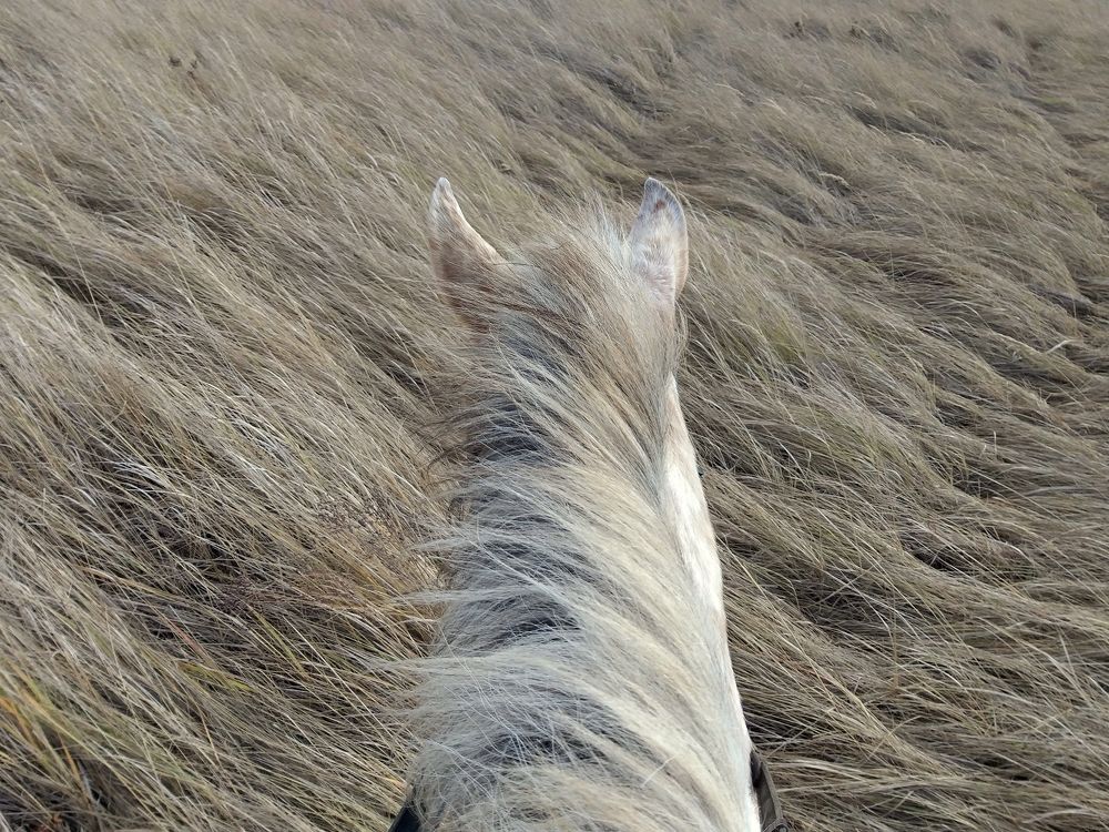 Photograph by Галина Щурова