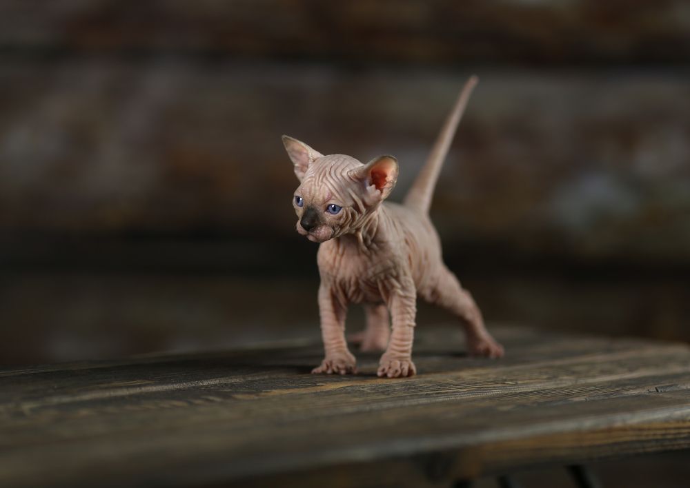 Photograph by Голубятникова Ирина