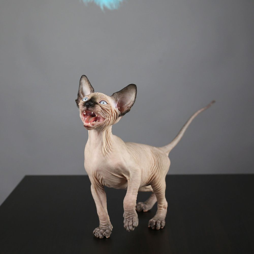 Photograph by Голубятникова Ирина