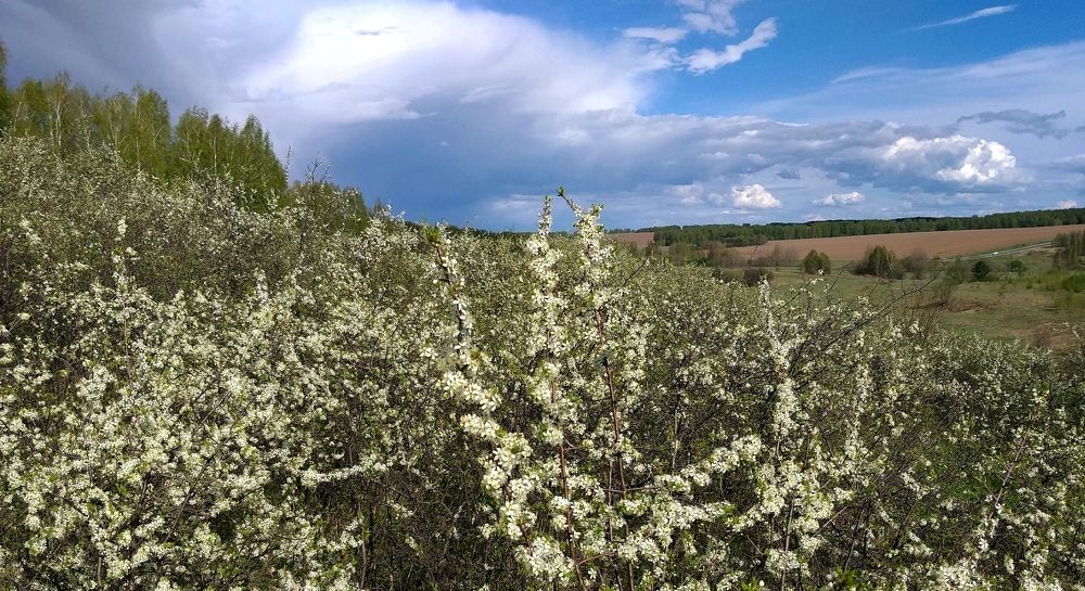 Photograph by Галина Щурова