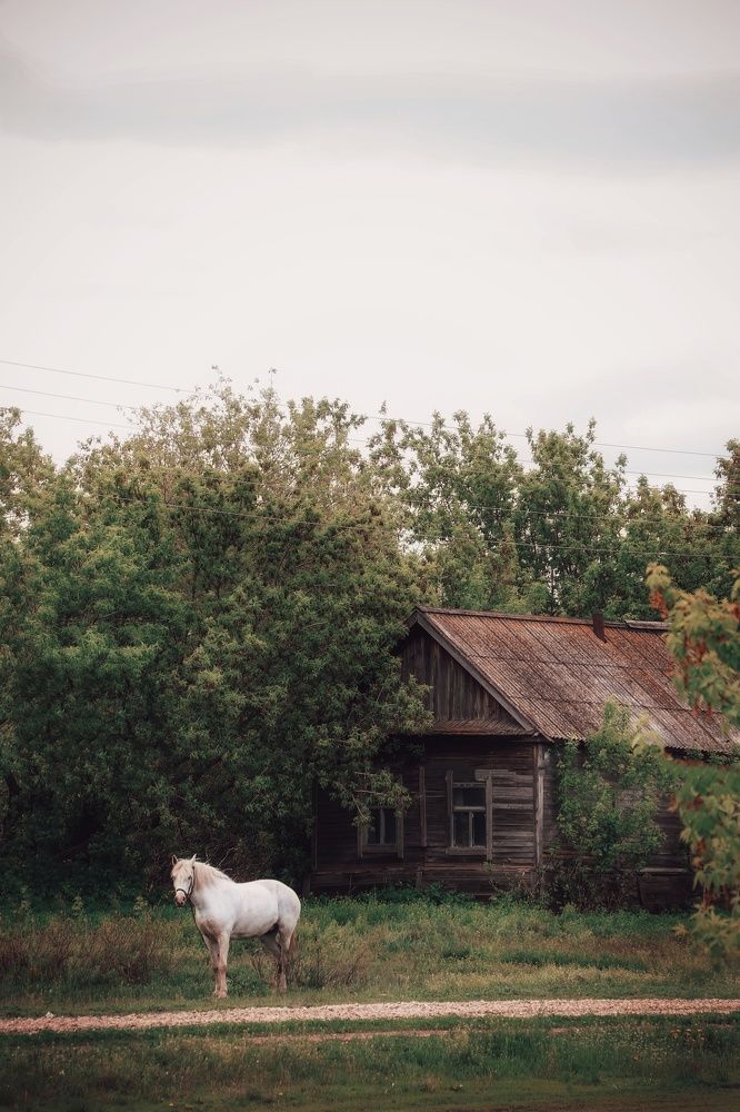 Photograph by Анастасия Чепурнова