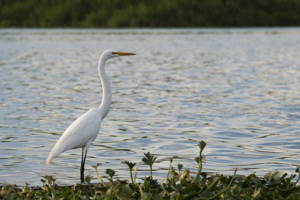 Photograph by Noe Castro