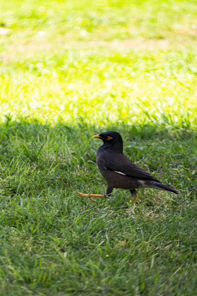 Photograph by Байтальский Андрей