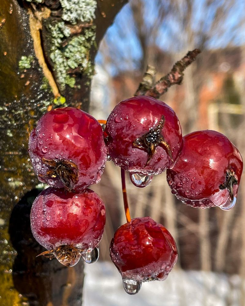 Фотография автора Рамзия Хисамутдинова