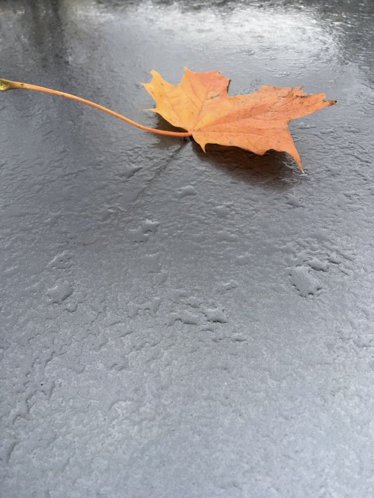 Photograph by Vladislavas Lavrinovicius