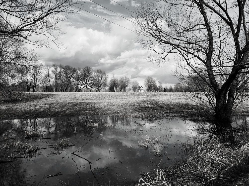 Photograph by Natali