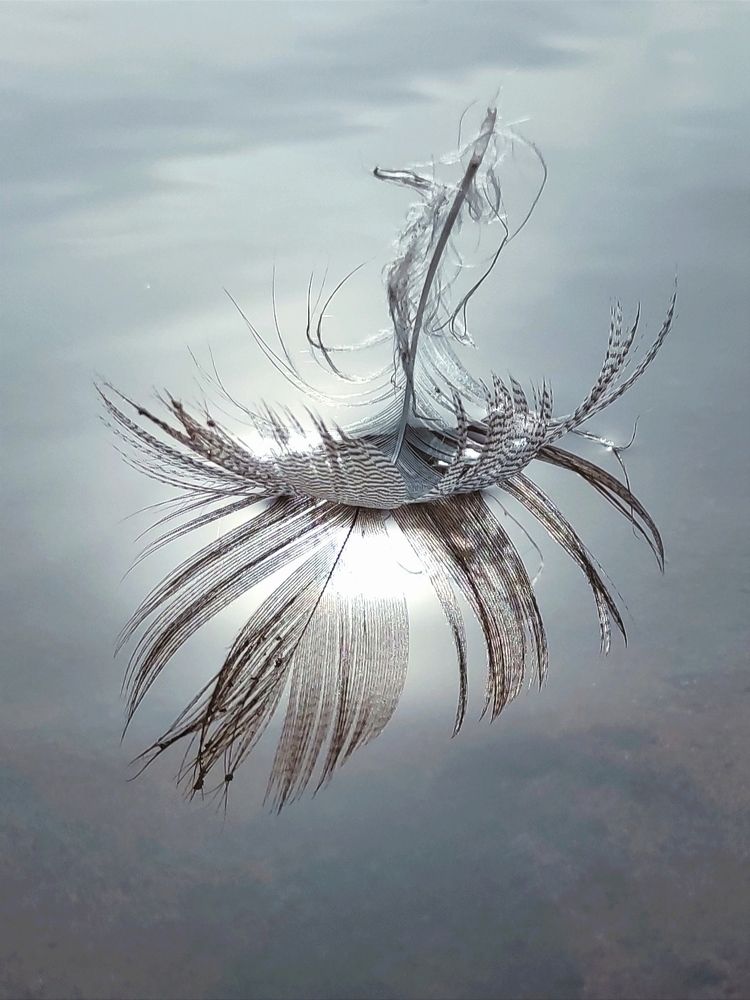 Photograph by Марина Хохрякова