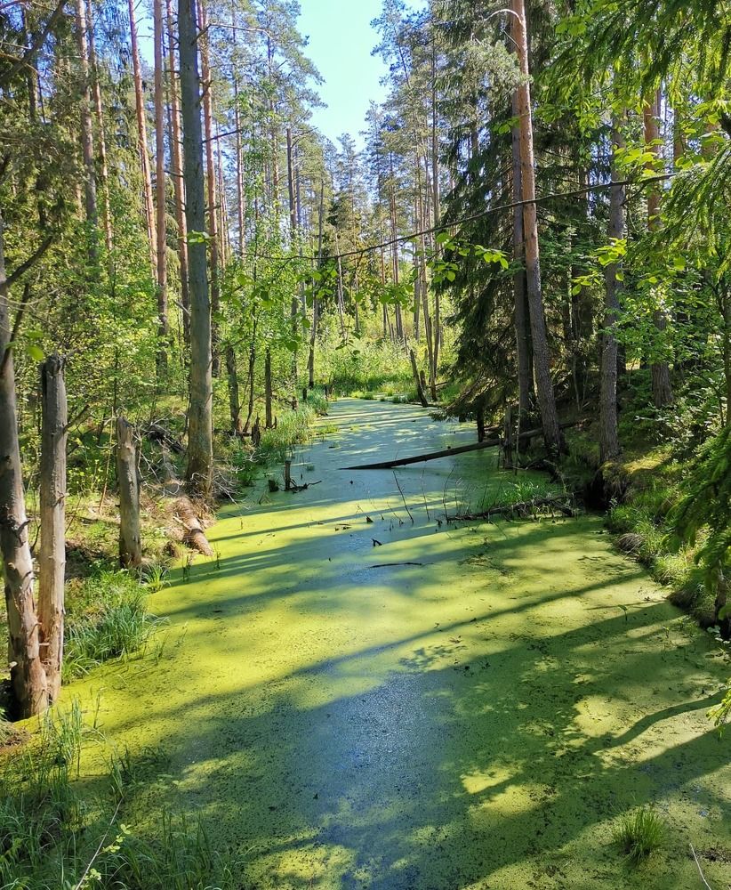 Photograph by Анна Чадова
