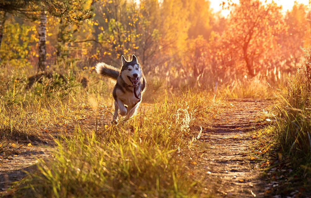 Photograph by Лев Постнов