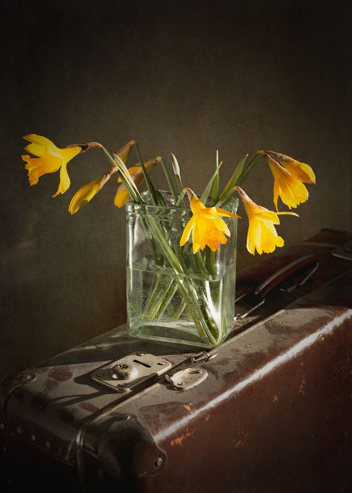 Фотография автора Марис Анкевицс