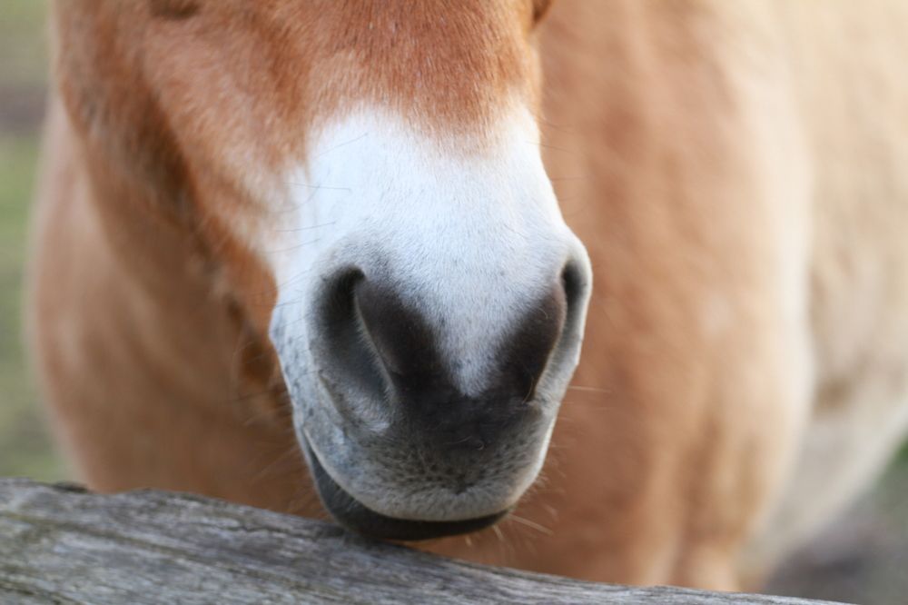 Фотография автора Анна Яковенко