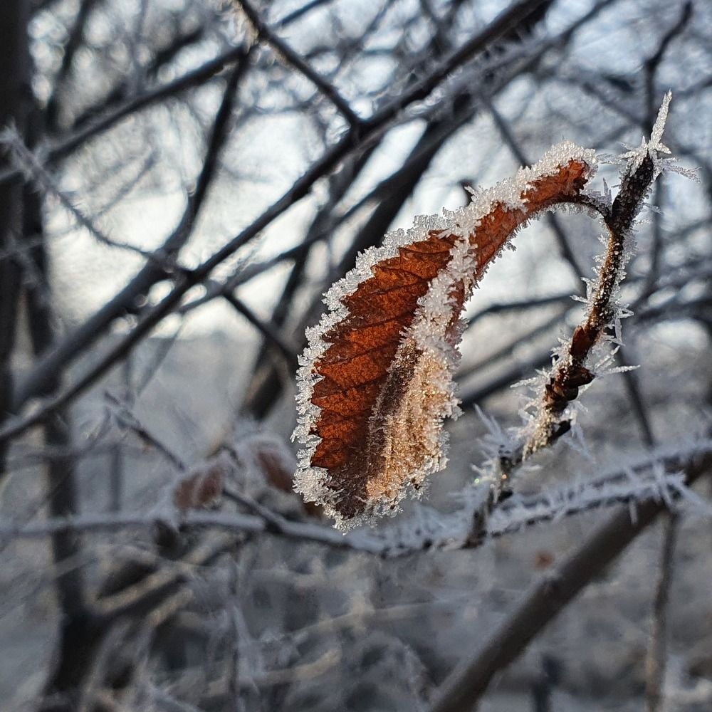 Photograph by Валентина Галич