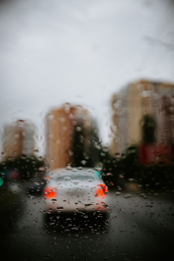 Фотография автора Лукашенко Ольга