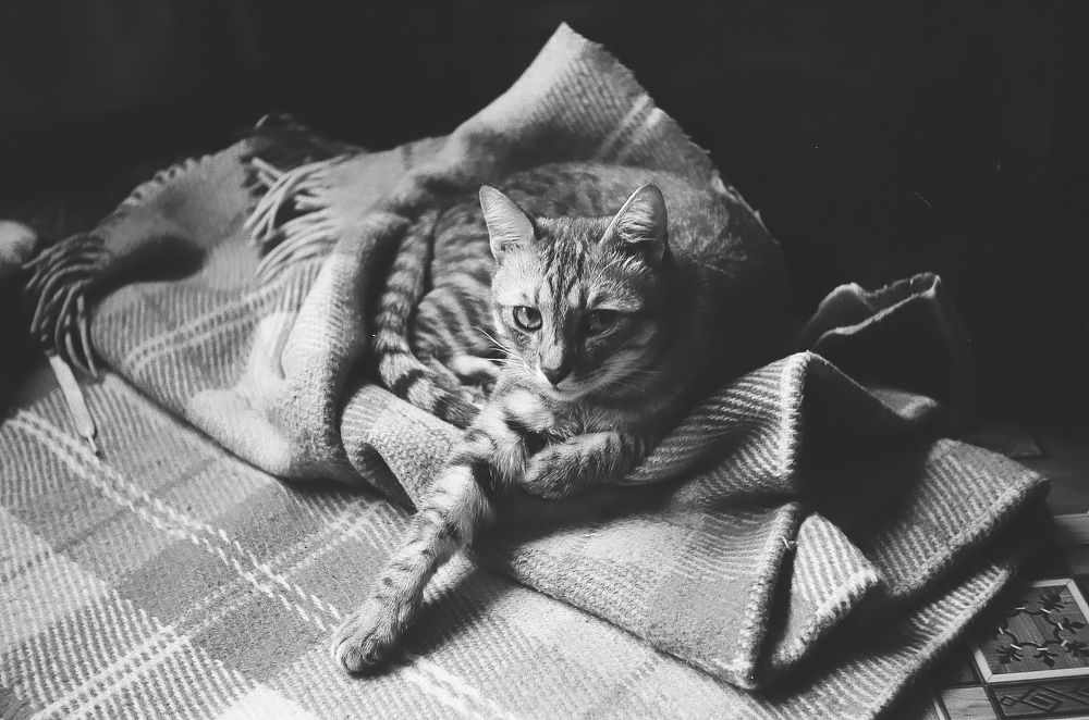 Теплое на мягком