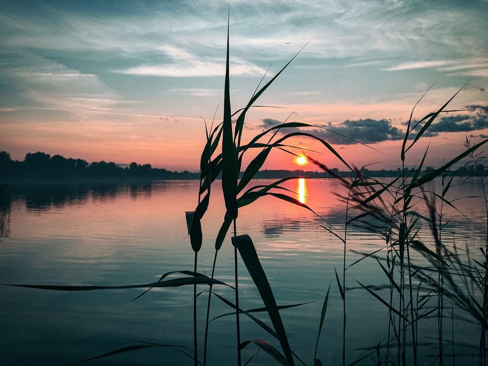 Photograph by Екатерина Нефедова