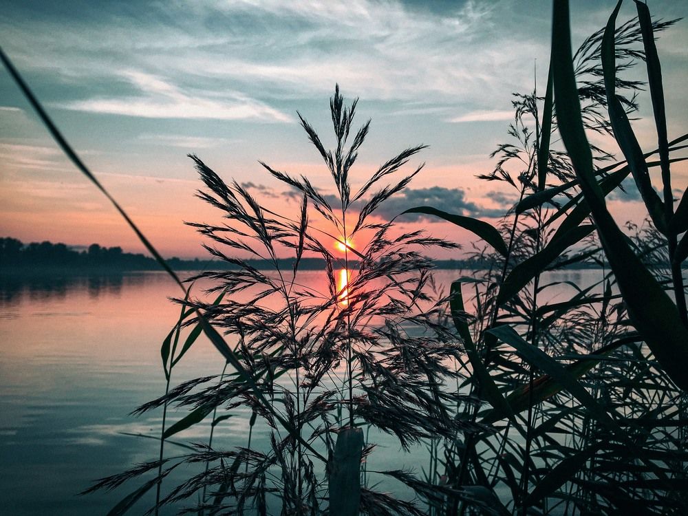 Photograph by Екатерина Нефедова