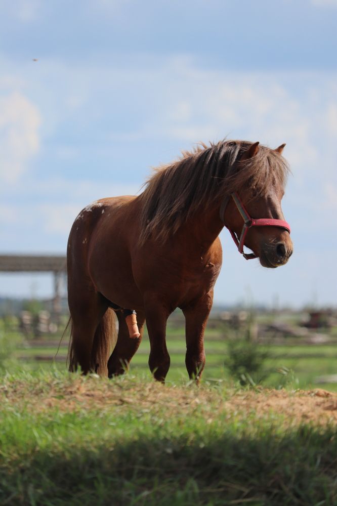 Photograph by Алексейчик Дмитрий