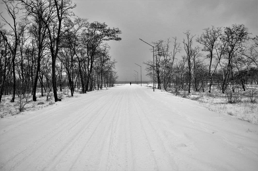 Photograph by Stoyan Baev