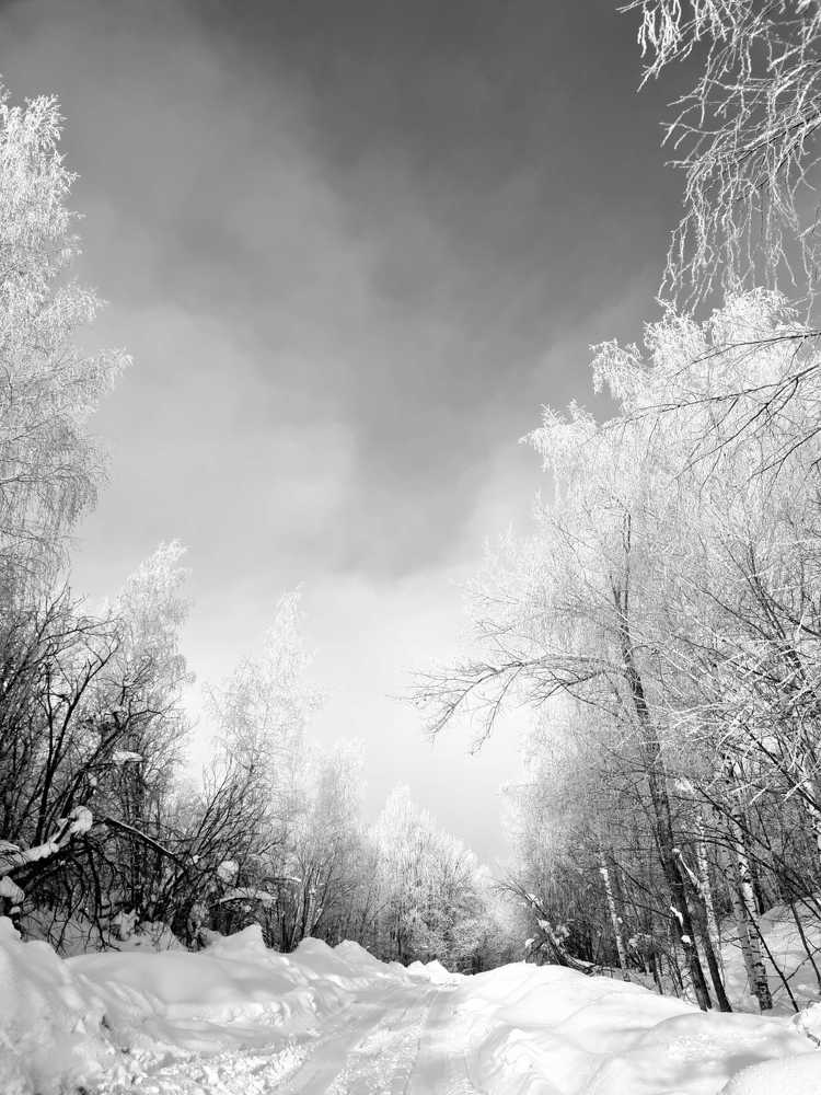 Photograph by Tatiana Denisova