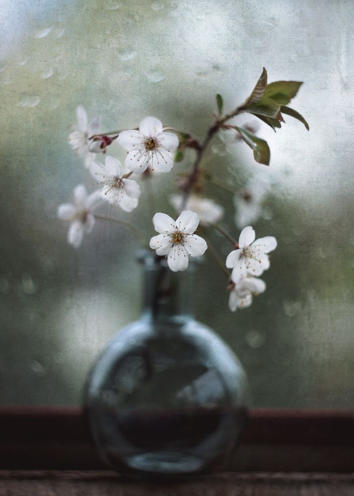 Photograph by Ольга Литвинова