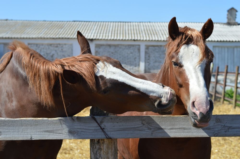 Photograph by Ангелина Ларина