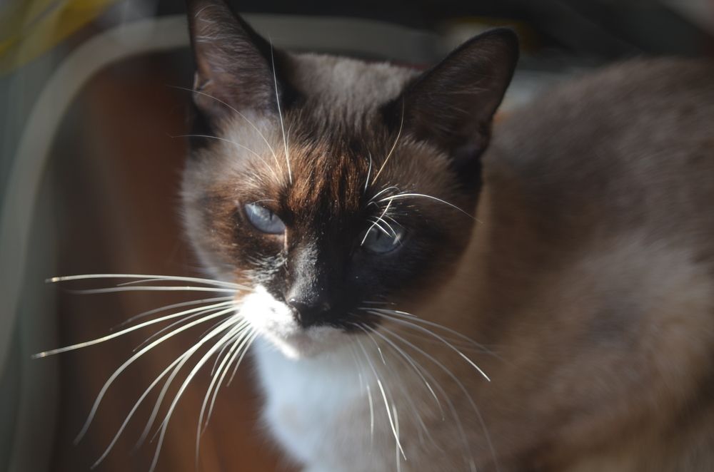 Photograph by Valentina