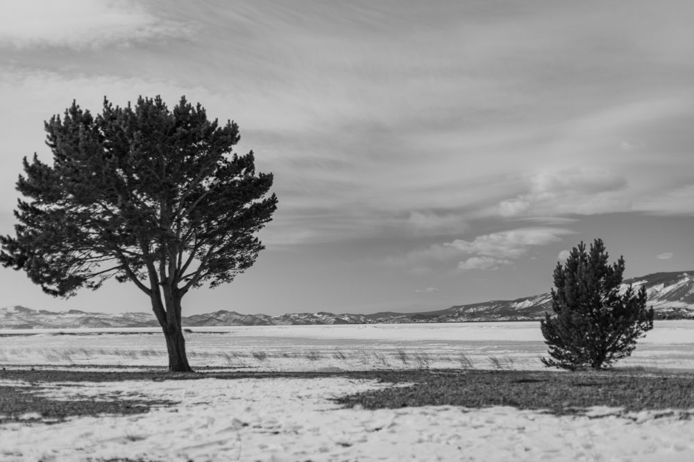 Photograph by Екатерина Долгова