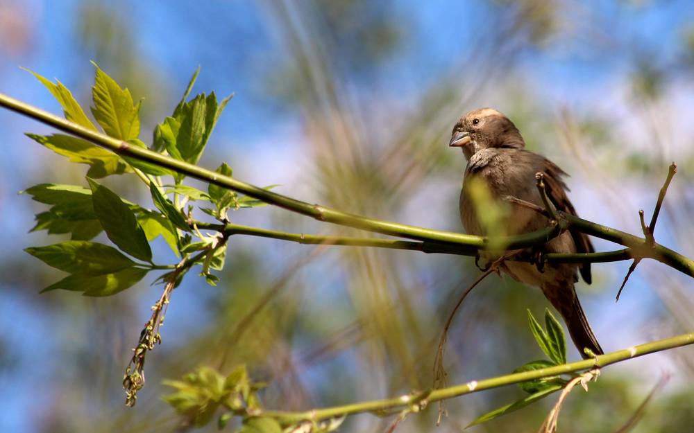 Photograph by Александра Тимошенко