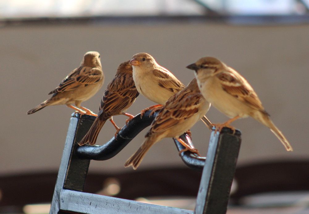 Photograph by Александра Тимошенко