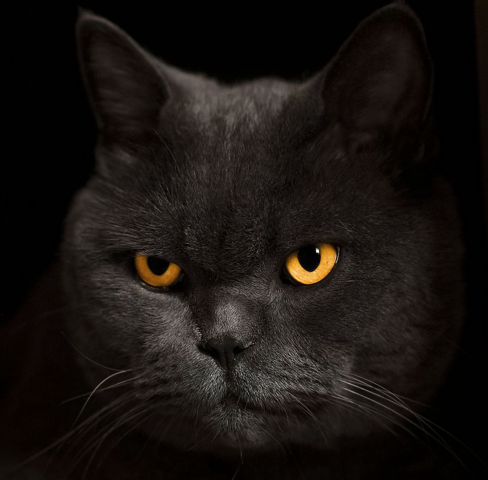 Photograph by Ирина Ефимова