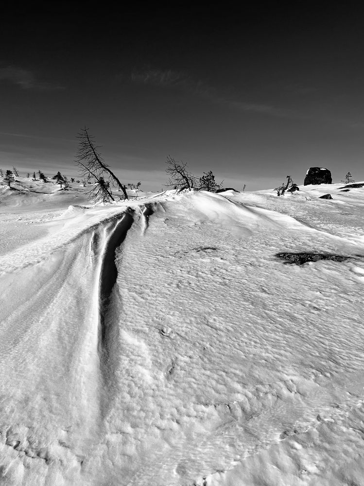 Photograph by Юлия Казимирова