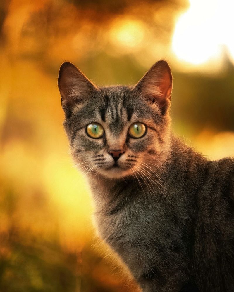 Photograph by Элина Васькова