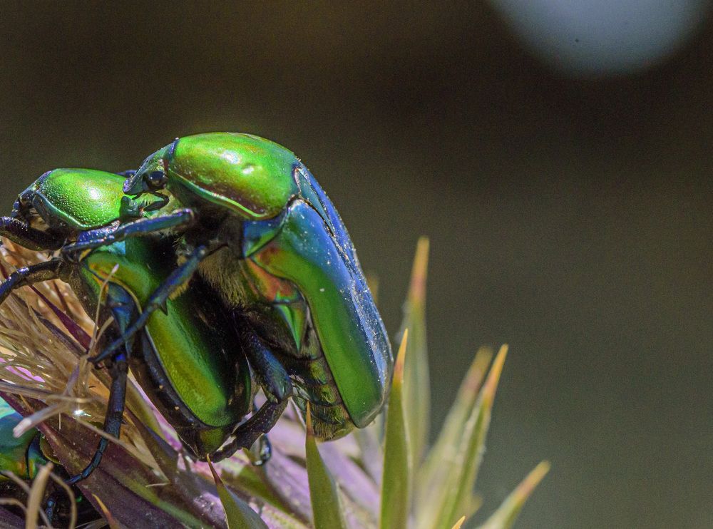 Photograph by Татьяна Колногоров