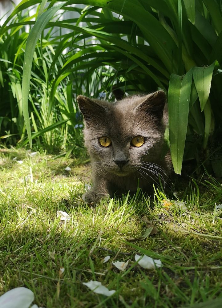 Photograph by Екатерина Кузьмина