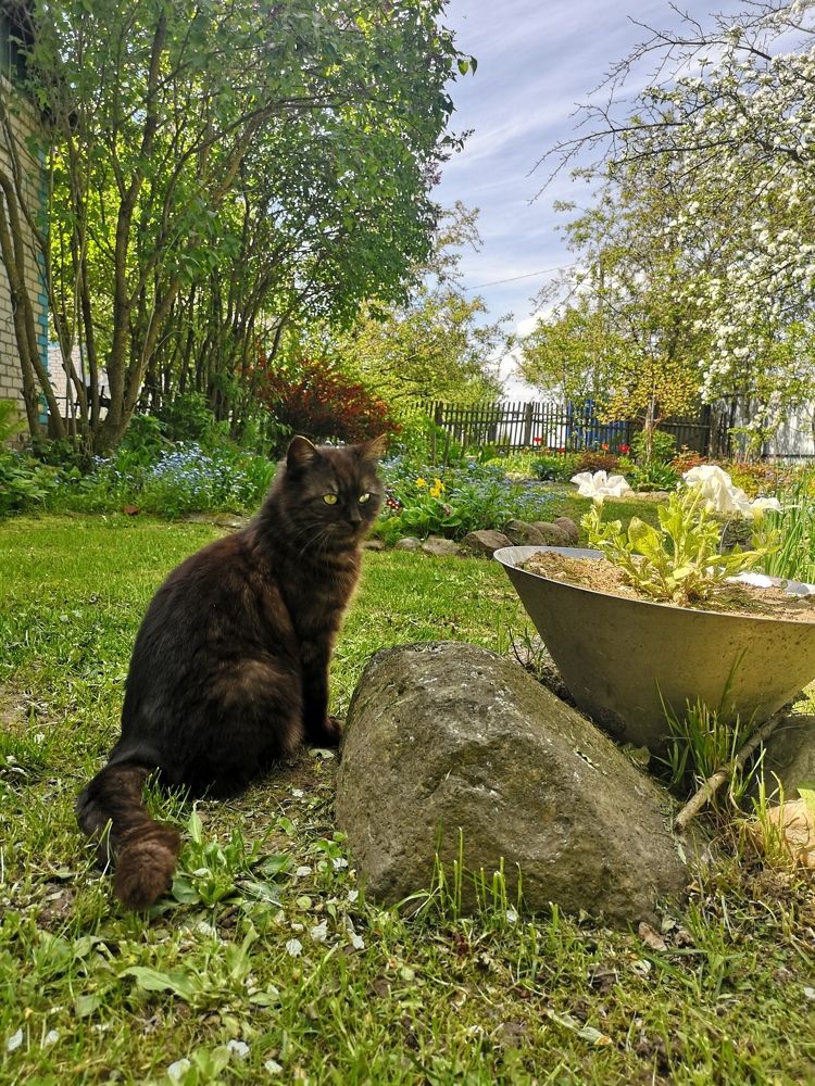 Photograph by Екатерина Кузьмина