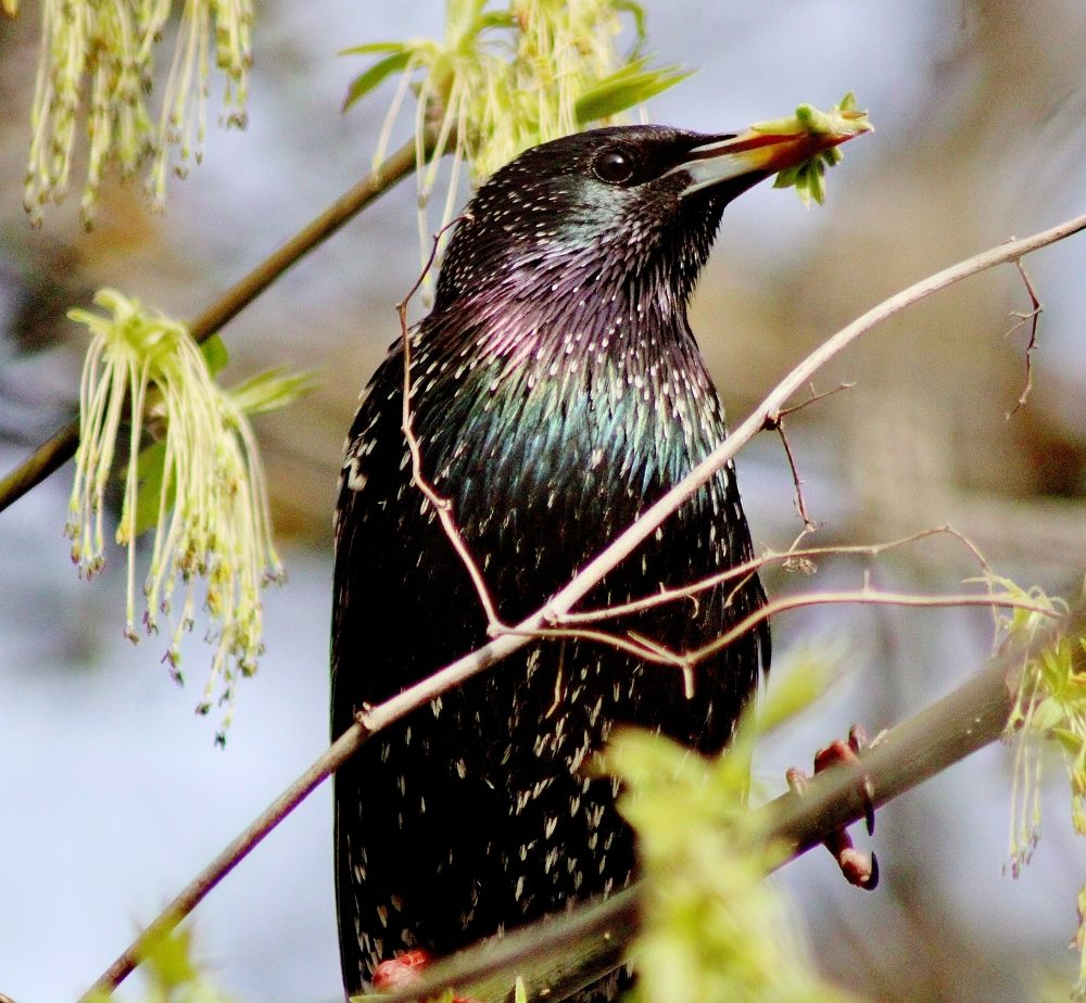Photograph by Анна Восковых