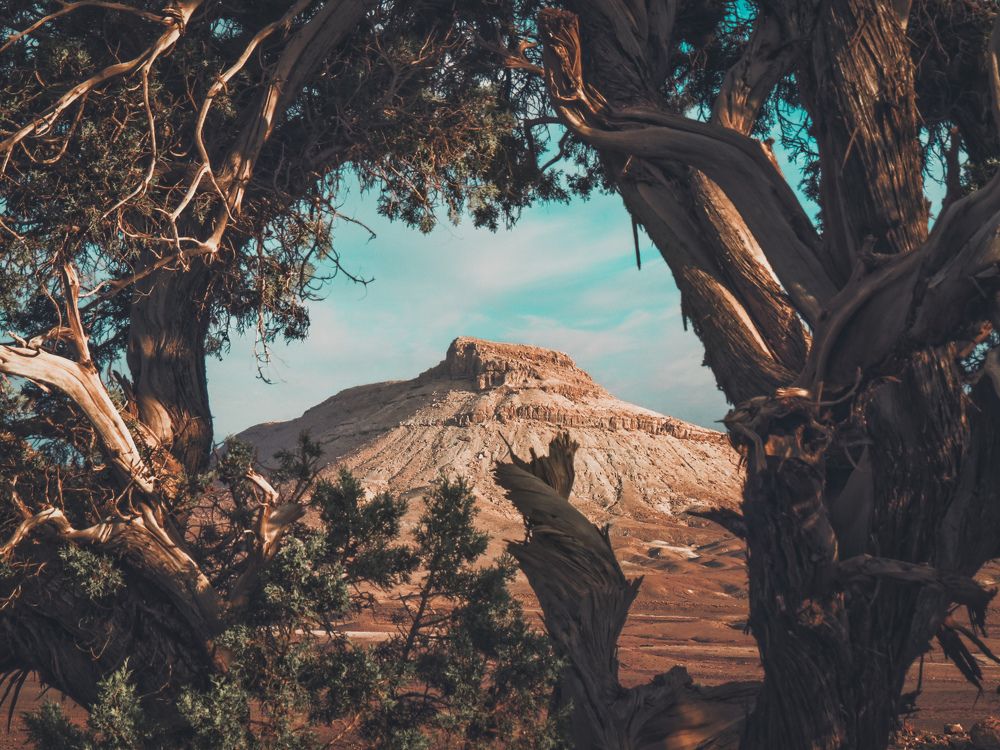 Photograph by Mostafa